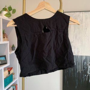 Birds of North America cut-out crop top